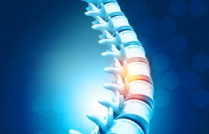 graphic of a spinal chord